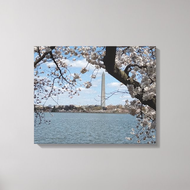 CHERRY BLOSSOMS #1 AUF LEINWAND 20 "x 16" (Vorderseite)
