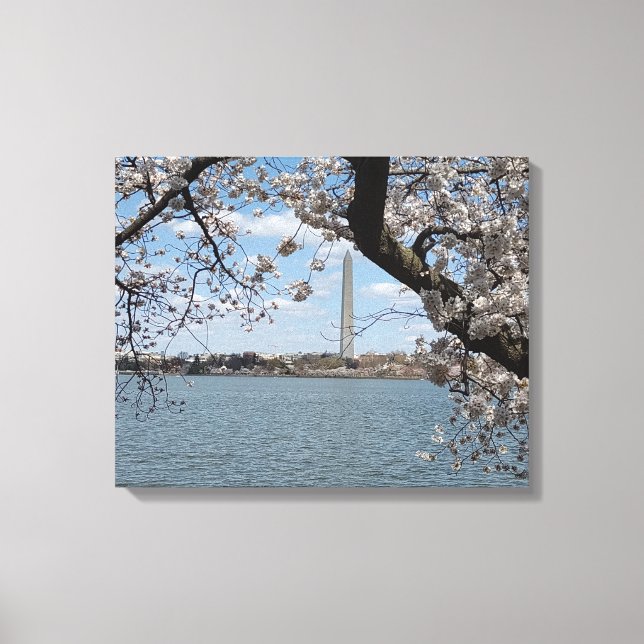 CHERRY BLOSSOMS #1 AUF LEINWAND 20 "x 16" (Vorderseite)