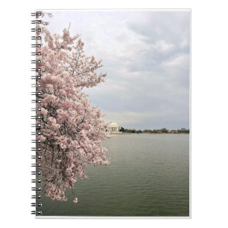 Cherry Blossoms at the Tidal Basin Notizblock