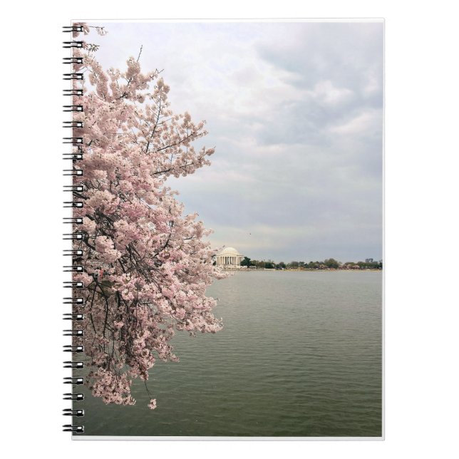 Cherry Blossoms at the Tidal Basin Notizblock (Vorderseite)