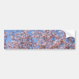 Cherry Blossoms Autoaufkleber