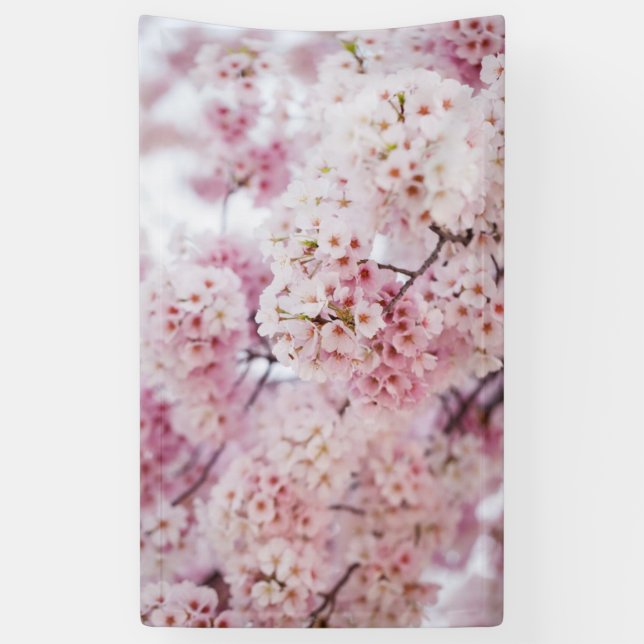Cherry Blossoms Banner (Vertikal)