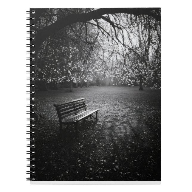 Cherry Blossoms Bench Sunrise Notebook Notizblock (Vorderseite)