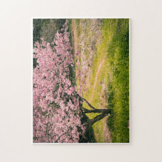 Cherry blossoms blooming in the rural hill puzzle