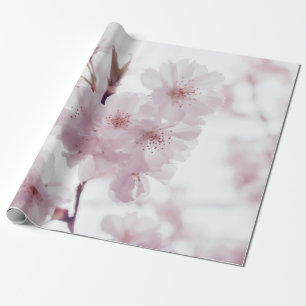 CHERRY BLOSSOMS-BLUME GESCHENKPAPIER