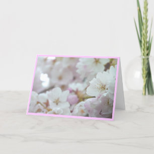 Cherry Blossoms Card Weiße Blossom Karte