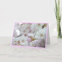 Cherry Blossoms Card Weiße Blossom Karte