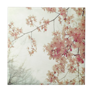 Cherry Blossoms Fliese