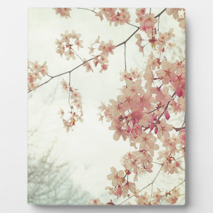 Cherry Blossoms Fotoplatte