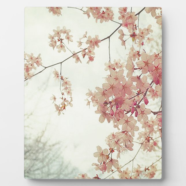 Cherry Blossoms Fotoplatte (Vorderseite)