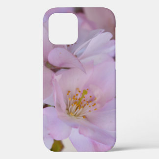Cherry Blossoms Geschenkboxen Case-Mate iPhone Fal Hülle