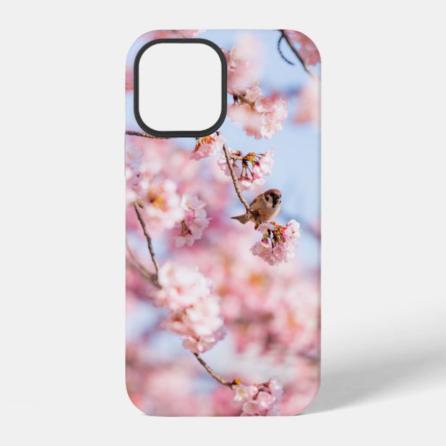 Cherry Blossoms Geschenkboxen iPhone Hülle (Rückseite)