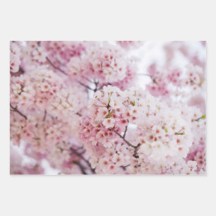 Cherry Blossoms Geschenkpapier Set