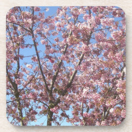 Cherry Blossoms Getränkeuntersetzer