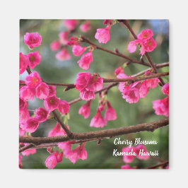 Cherry Blossoms Magnet