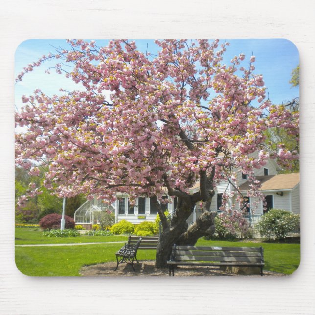 Cherry Blossoms Mouse Pad Mousepad (Vorne)