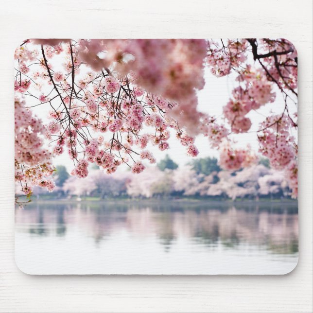 Cherry Blossoms Mousepad (Vorne)