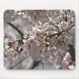 Cherry Blossoms Mousepad