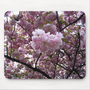 Cherry Blossoms Mousepad