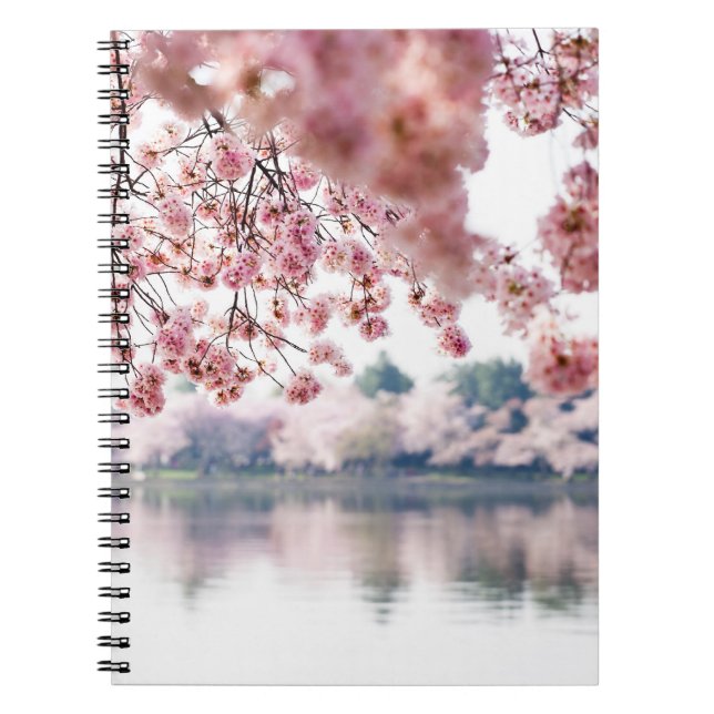 Cherry Blossoms Notizblock (Vorderseite)