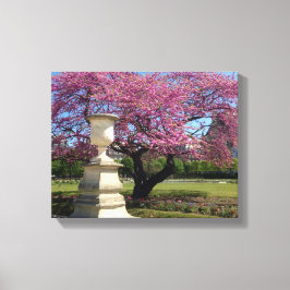 Cherry Blossoms Paris Frankreich Canvas Print Leinwanddruck
