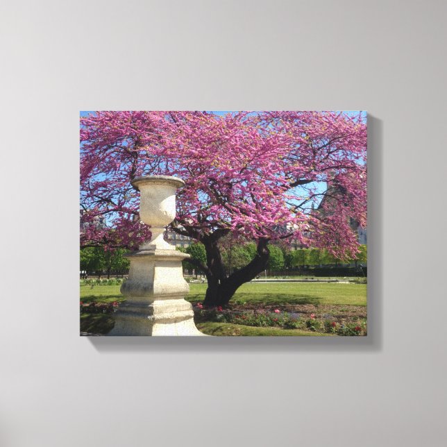 Cherry Blossoms Paris Frankreich Canvas Print Leinwanddruck (Vorderseite)