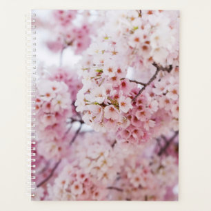 Cherry Blossoms Planer