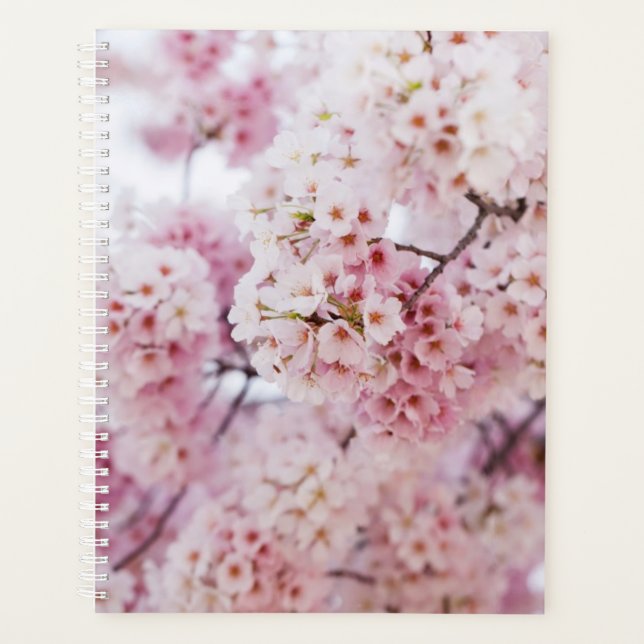 Cherry Blossoms Planer (Vorderseite)
