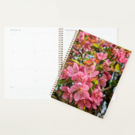 Cherry Blossoms Planer