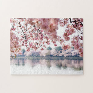 Cherry Blossoms Puzzle