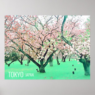 Cherry Blossoms Sakura Tokio Japan Reiseausdruck Poster