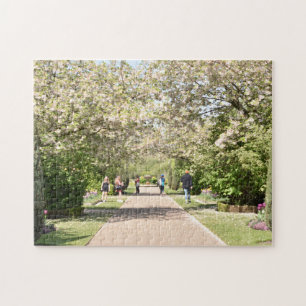 Cherry Blossoms Spring Regent's Park London UK Puzzle