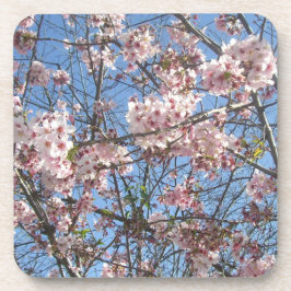 Cherry Blossoms Untersetzer