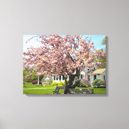 Cherry Blossoms Wrapped Canvas Leinwanddruck