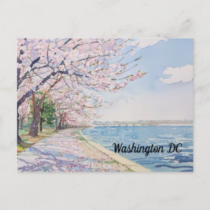 Cherry blüht Washington DC Gezeitenbecken Postkarte