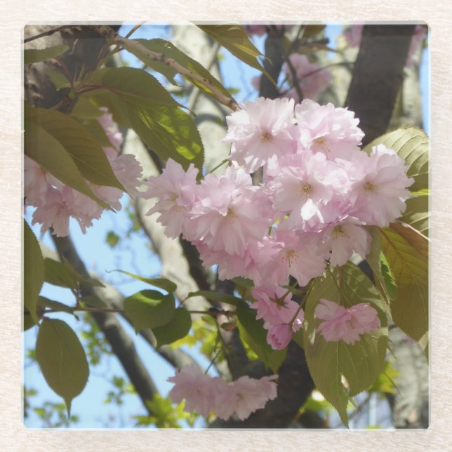 Cherry Blüte Foto Glasuntersetzer (Vorderseite)