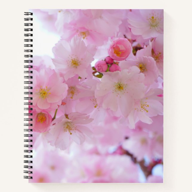 Cherry Blüte Spiral Notebook Notizbuch (Vorderseite)