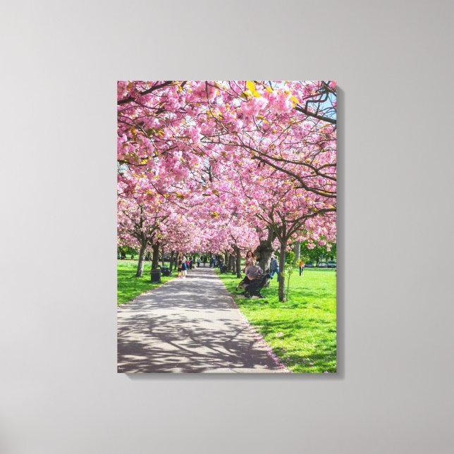 Cherry Blütenbild Leinwand (Vorderseite)