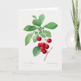 Cherry Botanical Print Karte