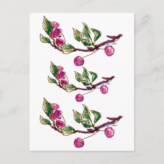 Cherry Branch Postkarte (Vorderseite)