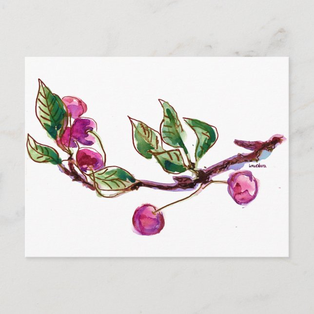 Cherry Branch Postkarte (Vorderseite)