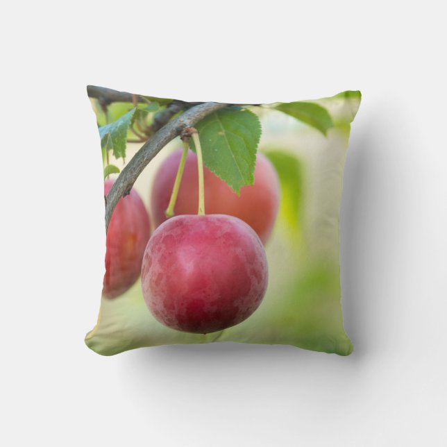 Cherry plum kissen (Vorderseite)