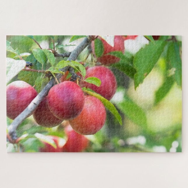 Cherry plum puzzle (Horizontal)