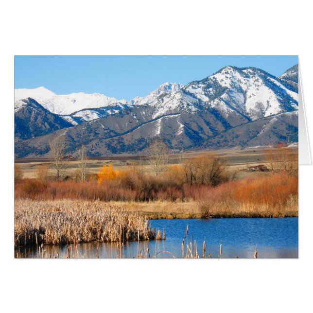 Cherry River by Cynthia Wenslow (Vorderseite (Horizontal))