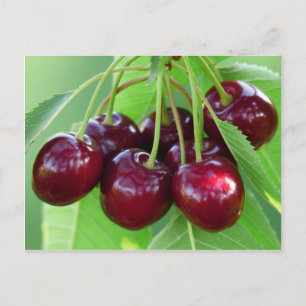 Cherry-Strauß Postkarte
