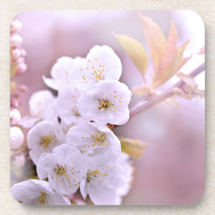 Cherry Tree Blüten Getränkeuntersetzer