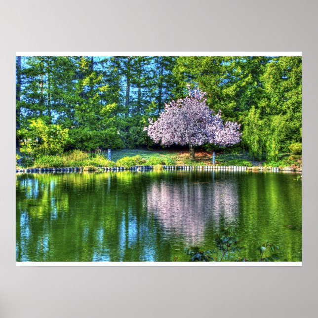 Cherry Tree Blüten Poster (Vorne)