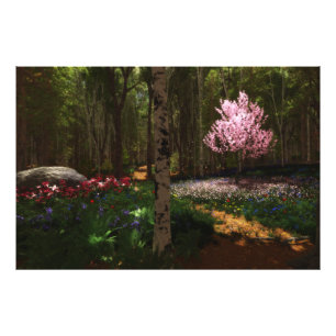 Cherry Tree Concerto Foto Print