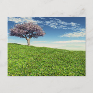 Cherry Tree Postkarte
