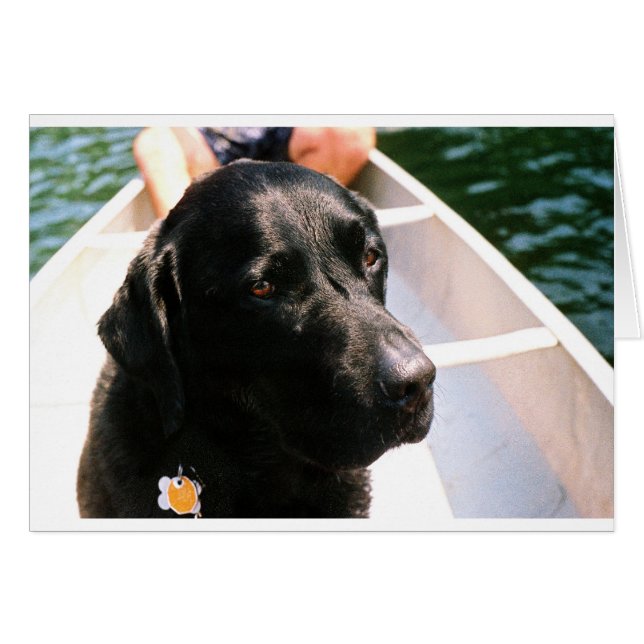 Chert Dog (Vorderseite (Horizontal))